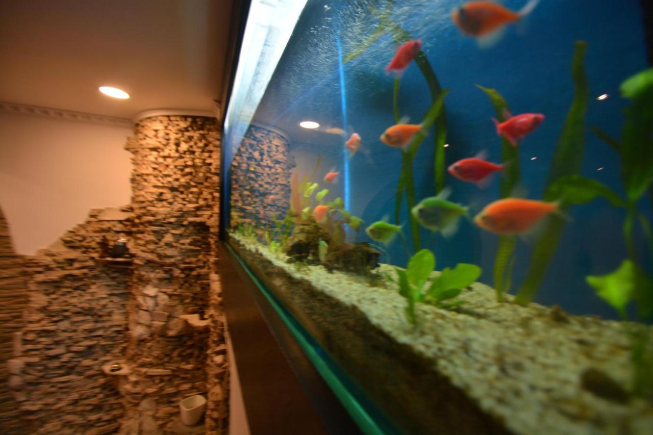 Gala - Guesthouse Oradea Ngoại thất bức ảnh
