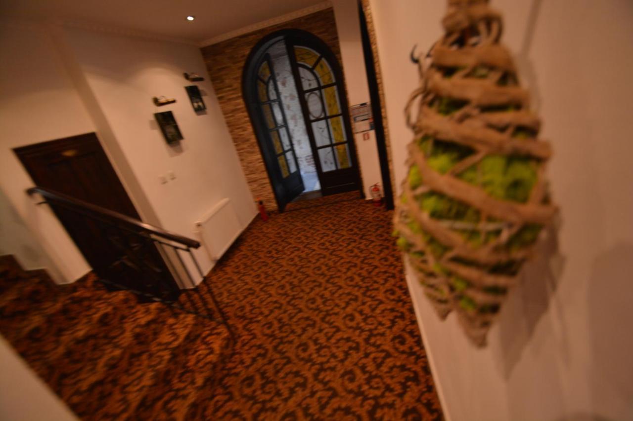 Gala - Guesthouse Oradea Ngoại thất bức ảnh